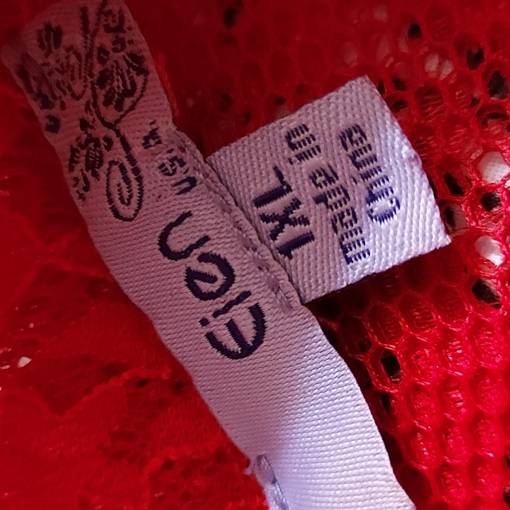 EIEN EUC Red Lace Dress - Picture 7 of 12